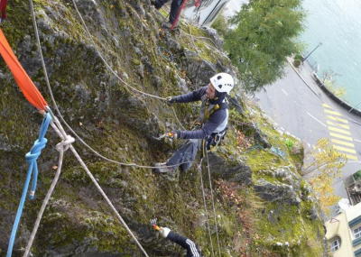 Sträucher schneiden und Moos entfernen am Kirchenfels Aarburg