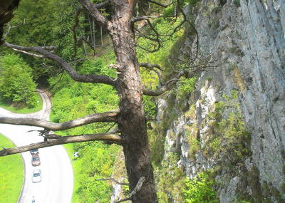 Felsräumungen entlang Solothurner Kantonsstrassen