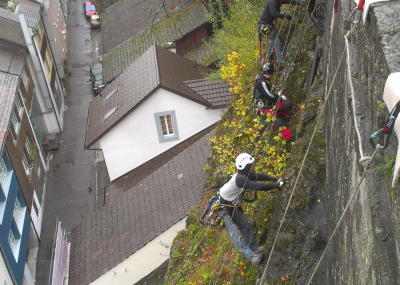 Sträucher schneiden und Moos entfernen am Kirchenfels Aarburg