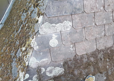 Dachreinigung Altstadthaus in Oerlikon